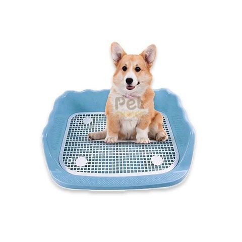 Khay vệ sinh cho chó có thành cao chống văng 52x42x15cm