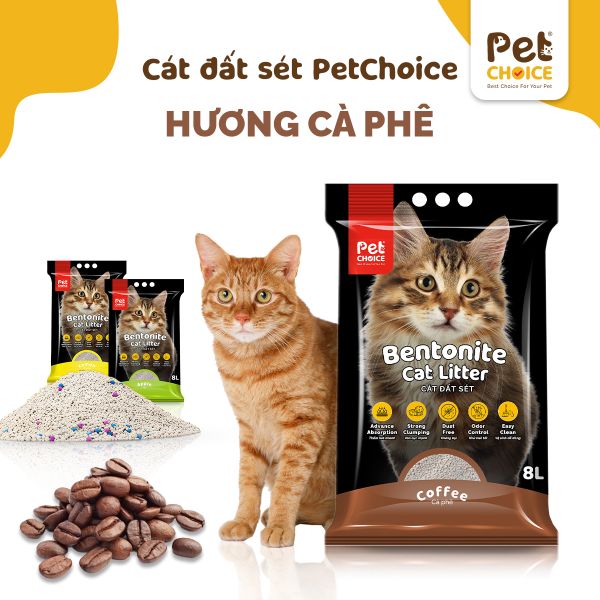 Cát vệ sinh đất sét bentonite cho mèo