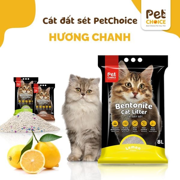 Cát vệ sinh đất sét bentonite cho mèo