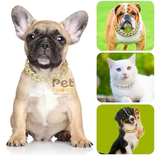 Dây chuyền vàng bạc cho chó mèo, phụ kiện thời trang