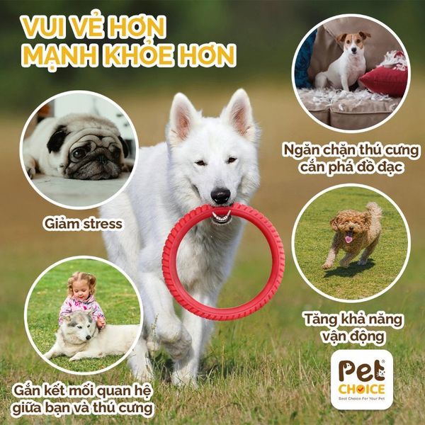 Vòng ném cao su huấn luyện chó nhựa dẻo