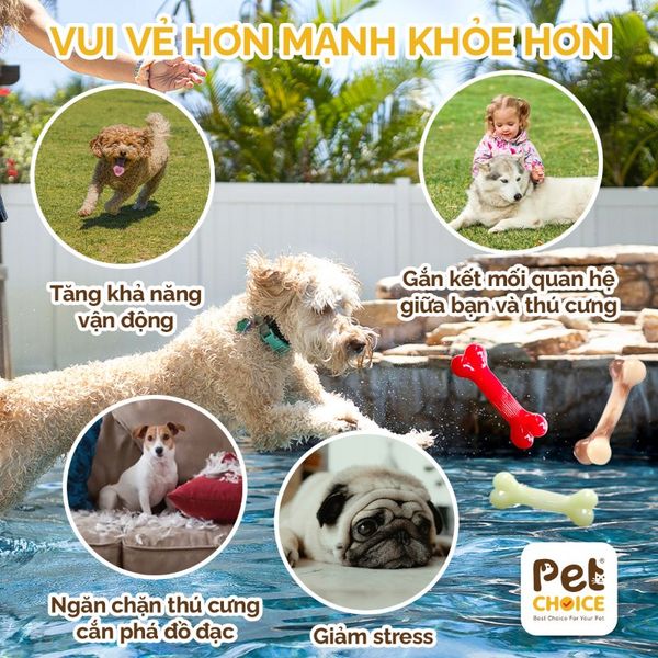 Xương nhai gặm nhựa cao cấp cho chó