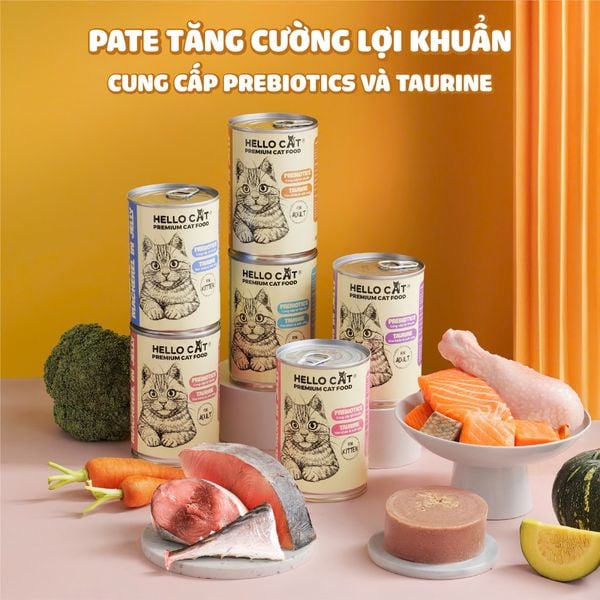 Pate cho mèo trong thạch Hello Cat Tuna 400g