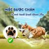 Bọt vệ sinh bàn chân thú cưng Krill chai 150ml