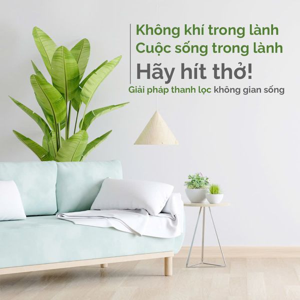 Xịt khử mùi TENDER cho thú cưng hương chanh và húng quế thơm mát, an toàn lành tính