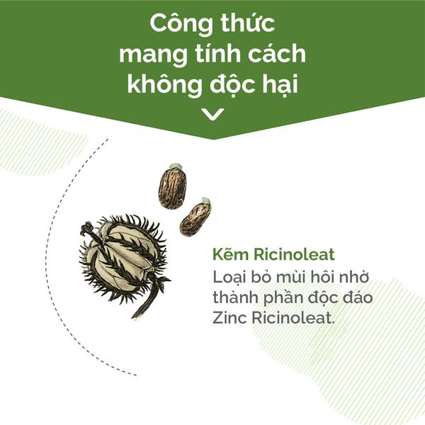 Xịt khử mùi TENDER cho thú cưng hương chanh và húng quế thơm mát, an toàn lành tính