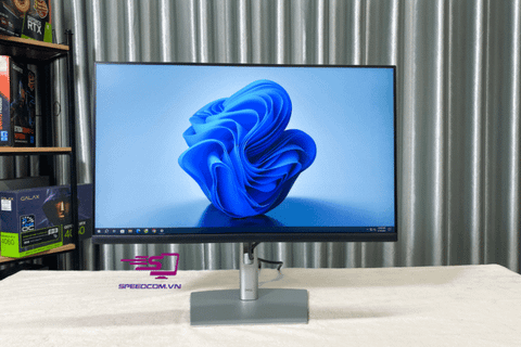 Màn hình DELL P2422H (24inch, FHD , IPS, 60Hz, Type-C)