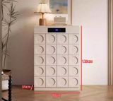 Tủ giày thông minh khử mùi TGKM03