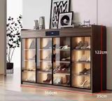 Tủ giày thông minh khử mùi TGKM15