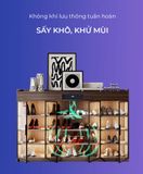 Tủ giày thông minh khử mùi TGKM15