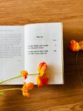  Người trong cõi người - Người cha ở trên trời 