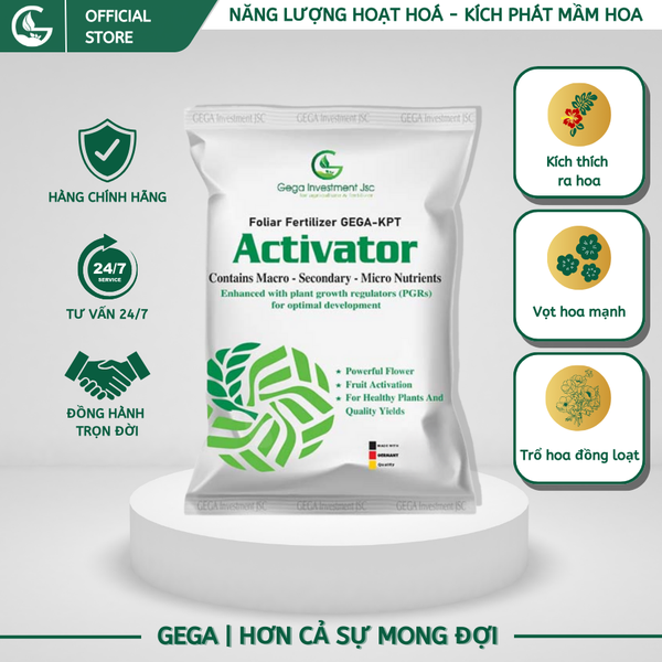 Phân bón ACTIVATOR - Kích Thích Ra Hoa - Vọt Hoa Mạnh - Trổ Hoa Đồng Loạt