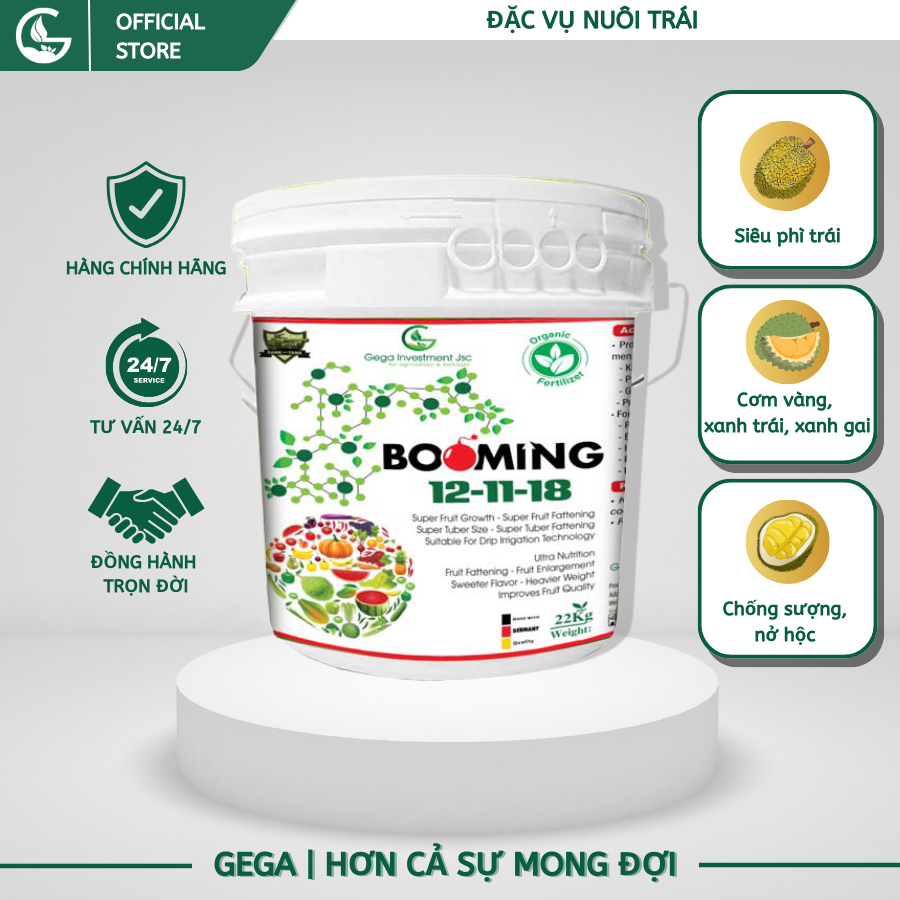 BOOMING - Siêu Phì Trái-Cơm Vàng-Xanh Trái-Xanh Gai-Chống Sượng-Nở Hộc