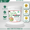 BOOMING - Siêu Phì Trái-Cơm Vàng-Xanh Trái-Xanh Gai-Chống Sượng-Nở Hộc