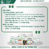 Phân bón FISH EMULSION - Đạm Cá Cô Đặc -Dưỡng Cây - Kích Rễ Cực Mạnh - Đất Tơi Xốp - Hệ Vi Sinh Phát Triển