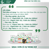 GEGA-PHOS89 - Tạo Mầm Hoa-Chống Nghẹn Hoa-Bung Hoa Đồng Loạt
