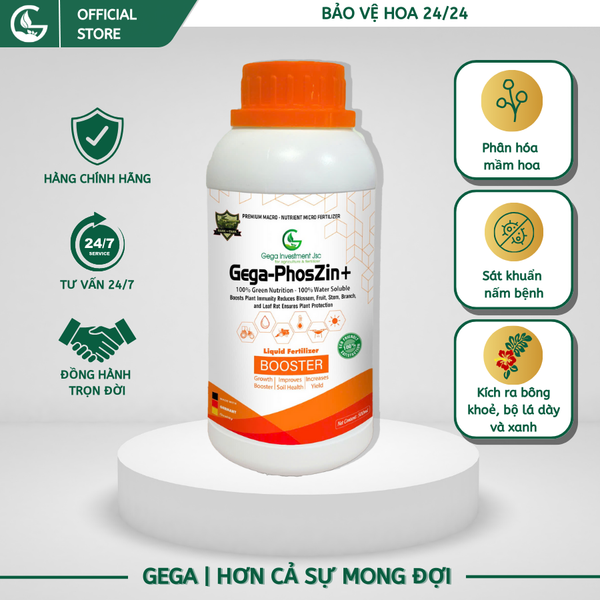GEGA-PHOSZIN - Phân Hóa Mầm Hoa-Sát Khuẩn Nấm Bệnh-Kích Ra Bông Khoẻ-Bộ Lá Dày Và Xanh