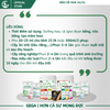 GEGA-PHOSZIN - Phân Hóa Mầm Hoa-Sát Khuẩn Nấm Bệnh-Kích Ra Bông Khoẻ-Bộ Lá Dày Và Xanh