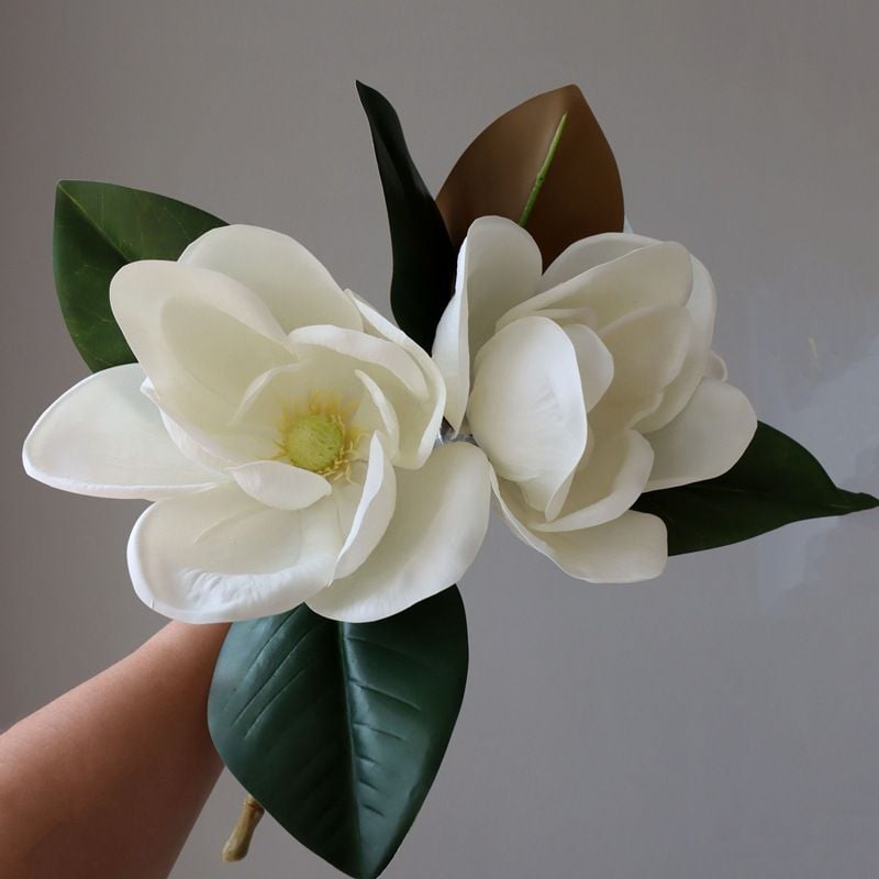 Hoa Magnolia hoàn thiện cao cấp, mô phỏng cảm giác như hoa thật 