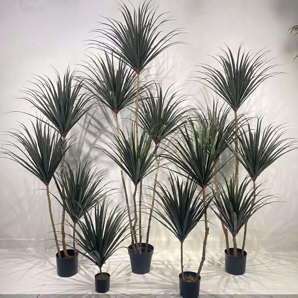  Cây Giả Huyết Long - Trang Trí Nội Thất & Văn Phòng Sang Trọng 