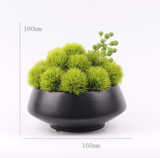  Floral Bonsai 