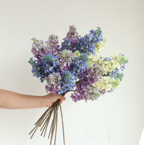  Hoa Cẩm Tú Cầu & Tử Đinh Hương Chuyển Màu 