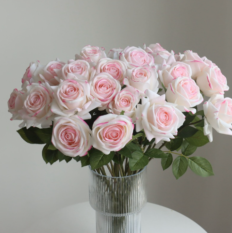  Hoa Hồng Đầu Tròn Cao Cấp 