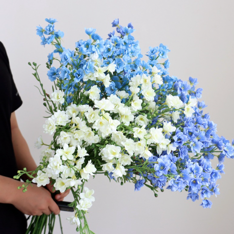  Hoa Violet & Lan Hồ Điệp Cao Cấp 