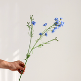  Hoa Violet & Lan Hồ Điệp Cao Cấp 
