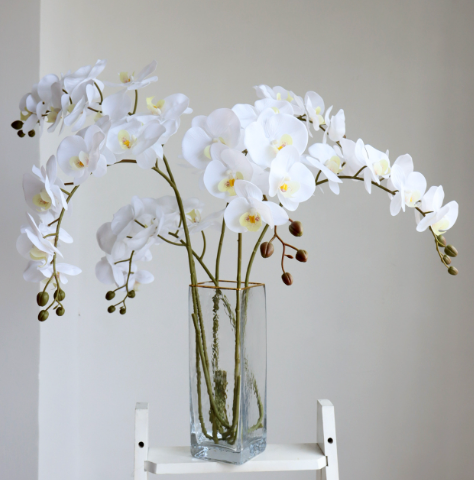  Hoa Lan Hồ Điệp 9 Cành Cao Cấp Chân Thực & Sang Trọng 