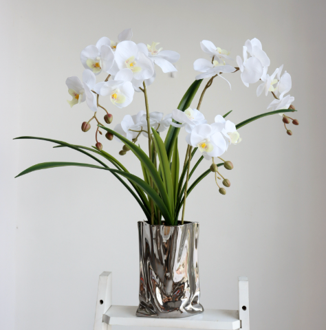  Hoa Lan Hồ Điệp 9 Cành Cao Cấp Chân Thực & Sang Trọng 