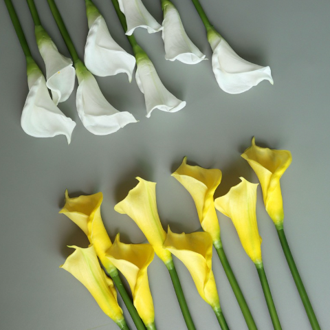  Hoa Loa Kèn PU Cành Dài Cao Cấp Chân Thực & Sang Trọng 