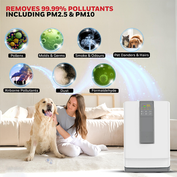 Máy lọc không khí Honeywell Air Touch V4 - HC000019/AP/V4