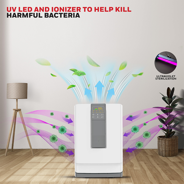 Máy lọc không khí Honeywell Air Touch V4 - HC000019/AP/V4
