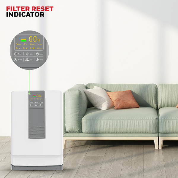 Máy lọc không khí Honeywell Air Touch V4 - HC000019/AP/V4