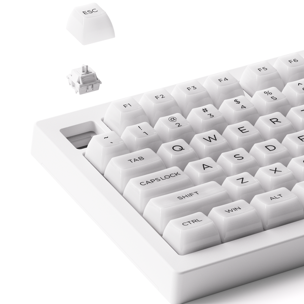 Bàn phím cơ AKKO 5075B Plus Transparent ASA White/Piano Pro (Hotswap/RGB/Multi-modes)