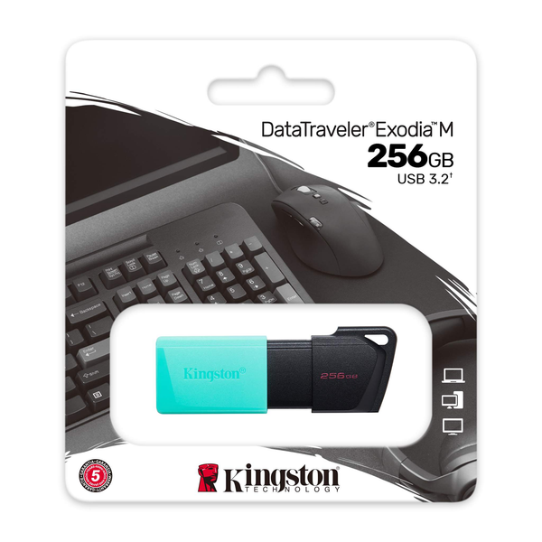 USB Kingston DataTraveler Exodia M 256GB USB 3.2 Gen 1 DTXM/256GB