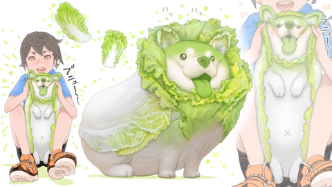 Bàn di AKKO Cabbage Dog (Desk Size) 900*400*4mm