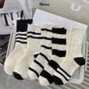 Combo 5 đôi tất nam nữ cao cổ kiểu rách GOMTAT phong cách Hàn Quốc, sợi cotton mềm mại, thoáng mát - CAOWASH-PO-3025-CB5