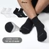 Combo 10 đôi vớ cổ thấp nam nữ GOMTAT, chất liệu cotton hút ẩm khử mùi, có đệm xù êm chân - STA-5009-NGAN-CB10