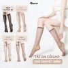 Combo 10 đôi tất che khuyết điểm cổ cao dành cho nữ GOMTAT, vớ da che khuyết điểm siêu thật chân , khó xước - D16-A099