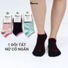 Tất nữ cổ thấp GOMTAT họa tiết kẻ sọc, chất liệu cotton hút ẩm thoáng khí khử mùi hôi  -NUNGAN-VSTAR-501-1DOI