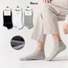 Combo 10 đôi tất cổ ngắn nam GOMTAT hoạ tiết gân chìm, chất liệu cotton cao cấp, thấm hút mồ hôi - FIVE-TAY10-NGAN-CB10