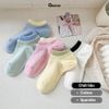 Combo 5 đôi tất chân nữ cổ ngắn chất liệu cotton cao cấp, vớ màu cho nữ mềm mại, êm chân hút ẩm thoáng khí -D16-A100-CB5