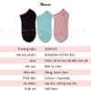 Tất nữ cổ thấp GOMTAT họa tiết kẻ sọc, chất liệu cotton hút ẩm thoáng khí khử mùi hôi  -NUNGAN-VSTAR-501-1DOI