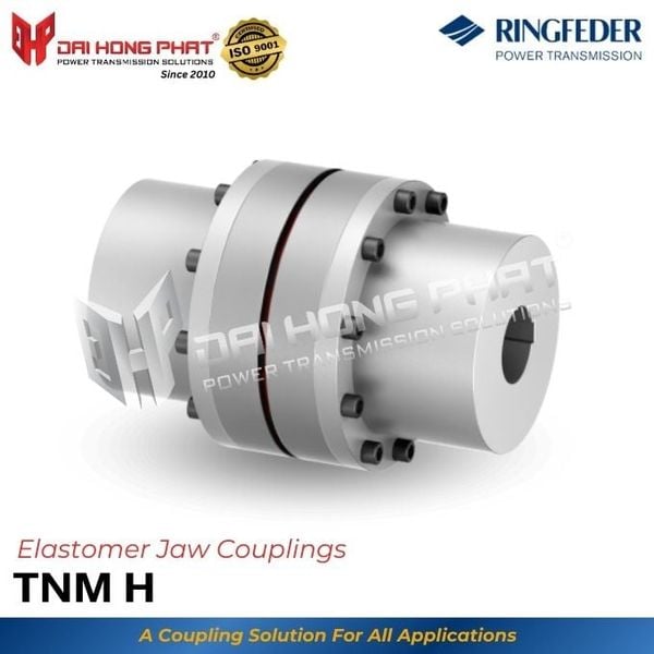 tnm-h