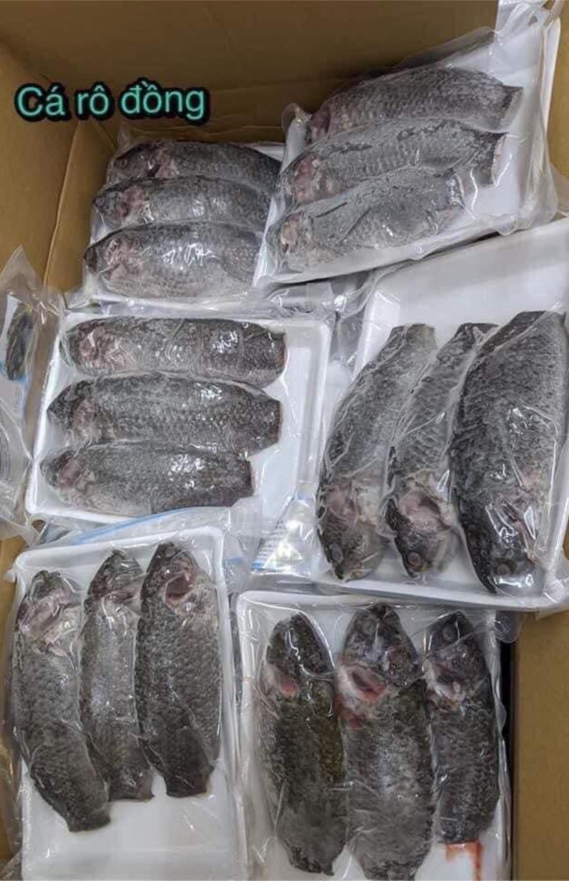 Cá Rô Đồng – minasiafoodmarket