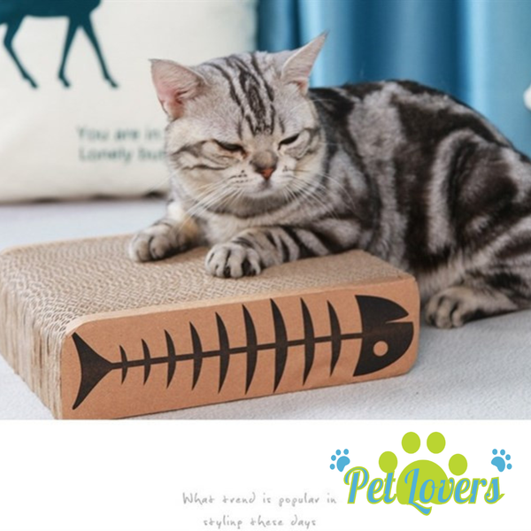 Bàn cào mèo nhiều kiểu