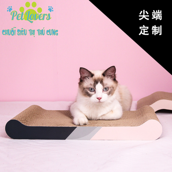 Bàn cào mèo nhiều kiểu