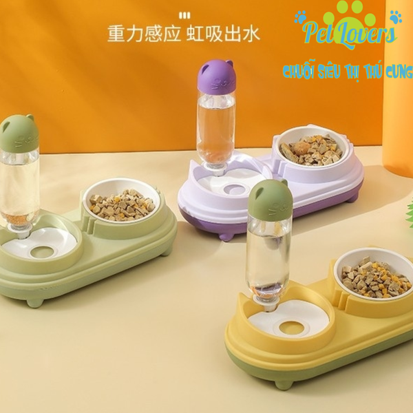 Bộ chén bình mèo lót chén sứ